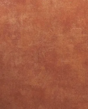 Обои для стен Bernardo Bartalucci Sarrieri 5083_7 #1