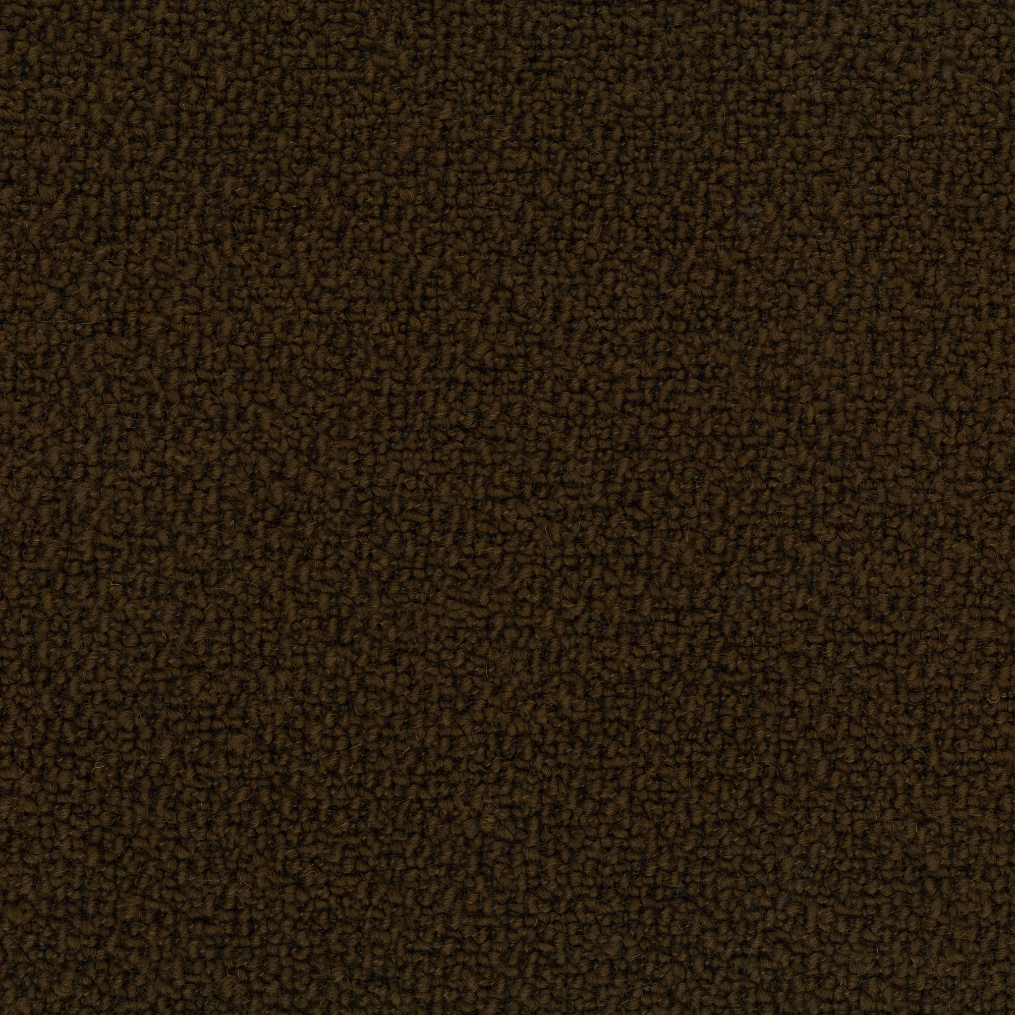 Ткань Rubelli Aries 17336_4