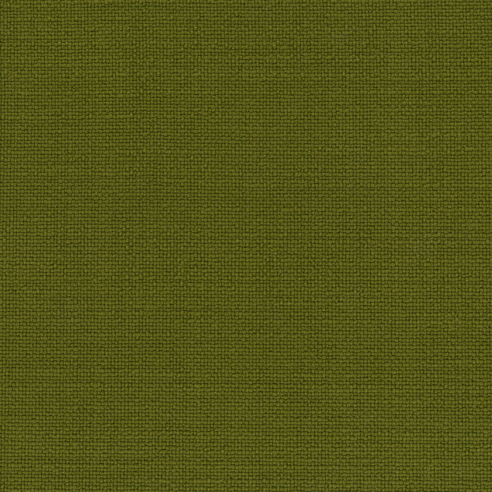 Ткань Rubelli Masavi 17309_11