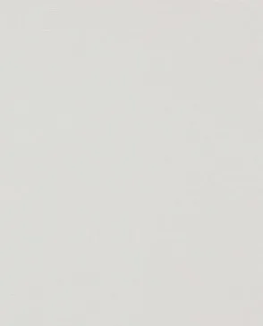 Обои для стен Andrea Rossi Spectrum Pro 54379_1