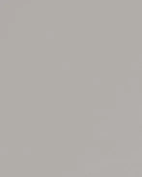 Обои для стен Andrea Rossi Spectrum Pro 54381_4