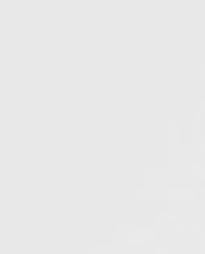 Обои для стен Andrea Rossi Spectrum Pro 54381_5