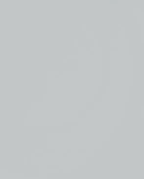 Обои для стен Andrea Rossi Spectrum Pro 54381_8