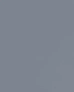 Обои для стен Andrea Rossi Spectrum Pro 54381_13