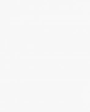 Обои для стен Andrea Rossi Spectrum Pro 54383_1