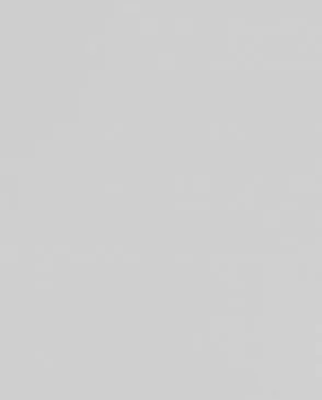 Обои для стен Andrea Rossi Spectrum Pro 54383_3