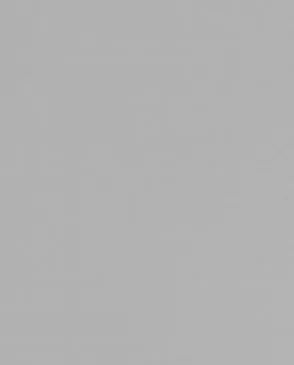 Обои для стен Andrea Rossi Spectrum Pro 54383_4