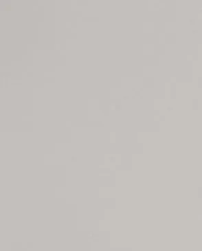 Обои для стен Andrea Rossi Spectrum Pro 54383_6