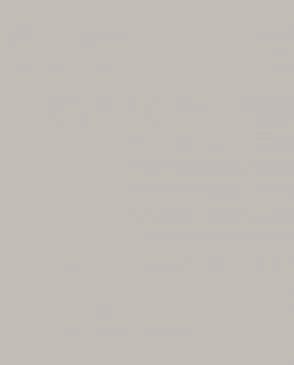 Обои для стен Andrea Rossi Spectrum Pro 54383_9