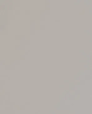 Обои для стен Andrea Rossi Spectrum Pro 54383_10