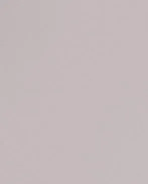 Обои для стен Andrea Rossi Spectrum Pro 54383_12