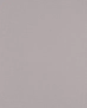 Обои для стен Andrea Rossi Spectrum Trend 54429_6