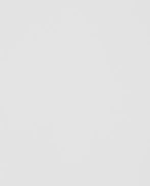 Обои для стен Andrea Rossi Spectrum Trend 54433_1