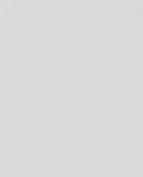 Обои для стен Andrea Rossi Spectrum Trend 54433_2