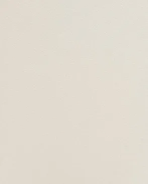 Обои для стен Andrea Rossi Spectrum+ 54355_4