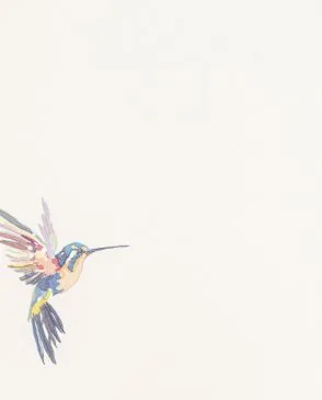 Обои для стен Andrea Rossi Spectrum+ 54356_1