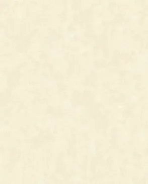 Обои для стен Bruno Zoff Platinum 60104_7