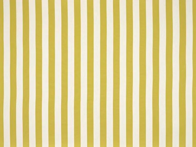 Ткань Pierre Frey Belvedere F3877002