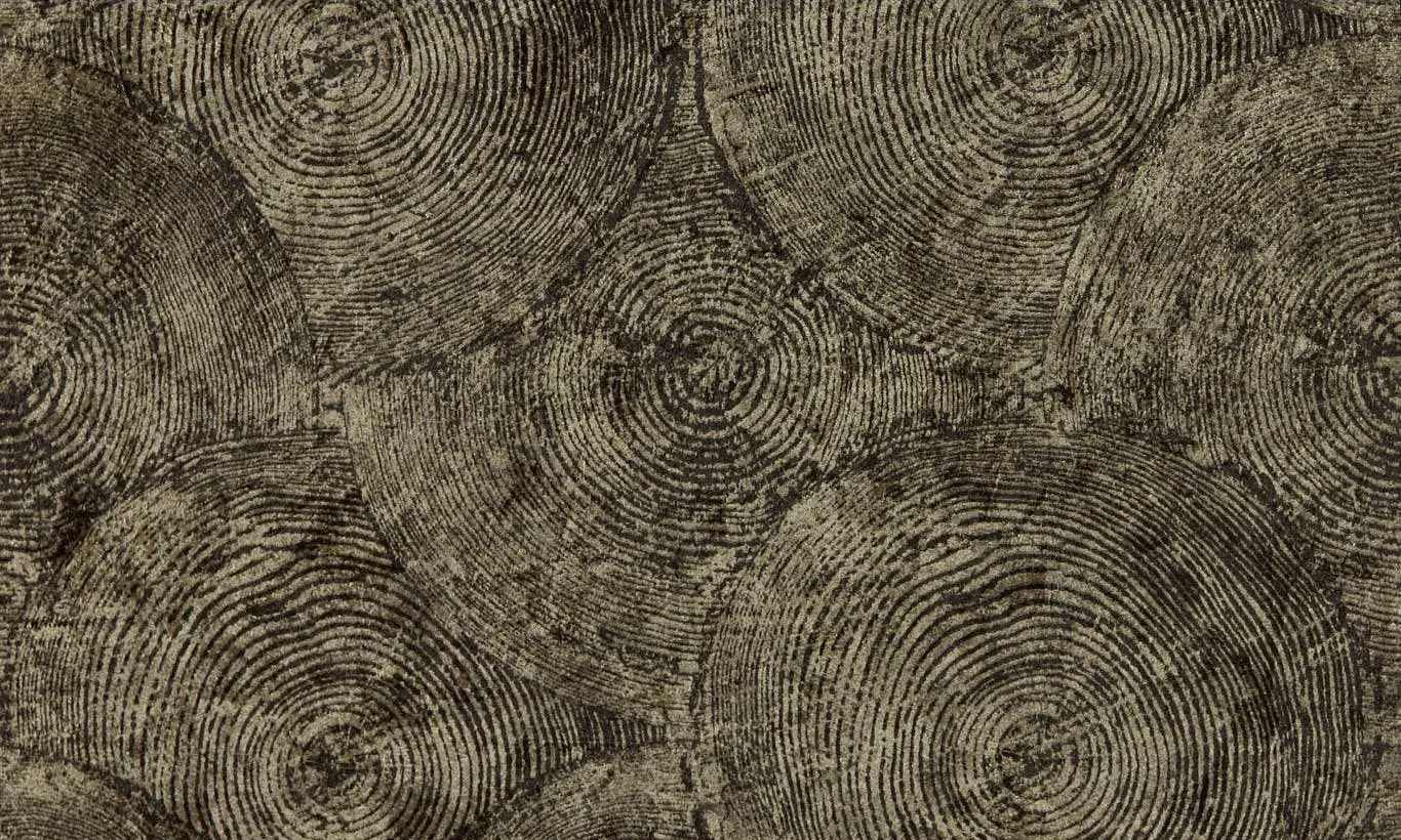 Обои для стен Clarke&Clarke Expressions Performance Wallcoverings W0209-01