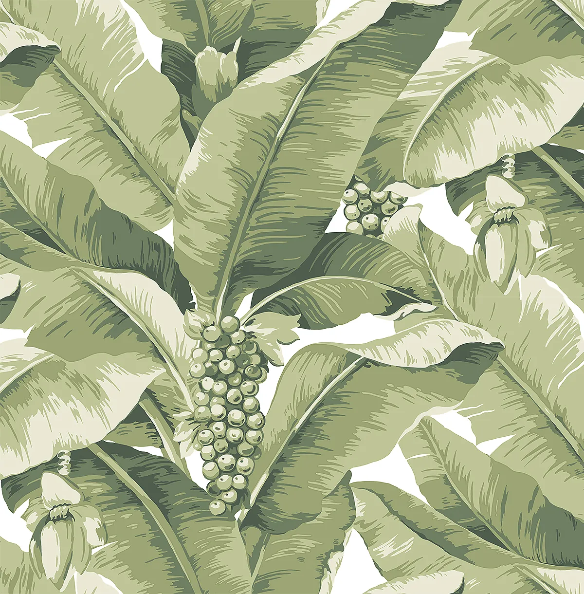 Обои для стен Daisy Bennet Anthology Resource DB10104