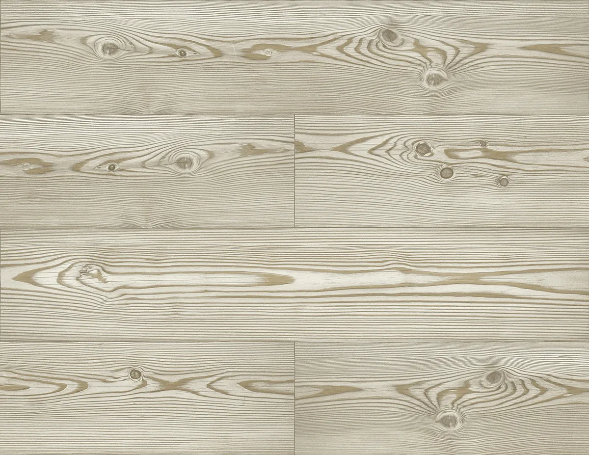 Обои для стен Daisy Bennet Woodlands Resource JB21706