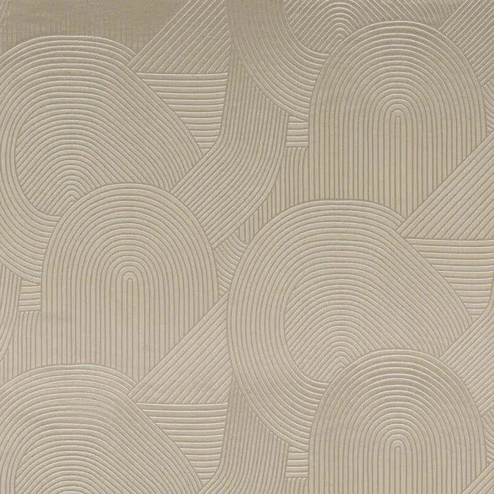 Ткань Camengo Choregraphie 39520101