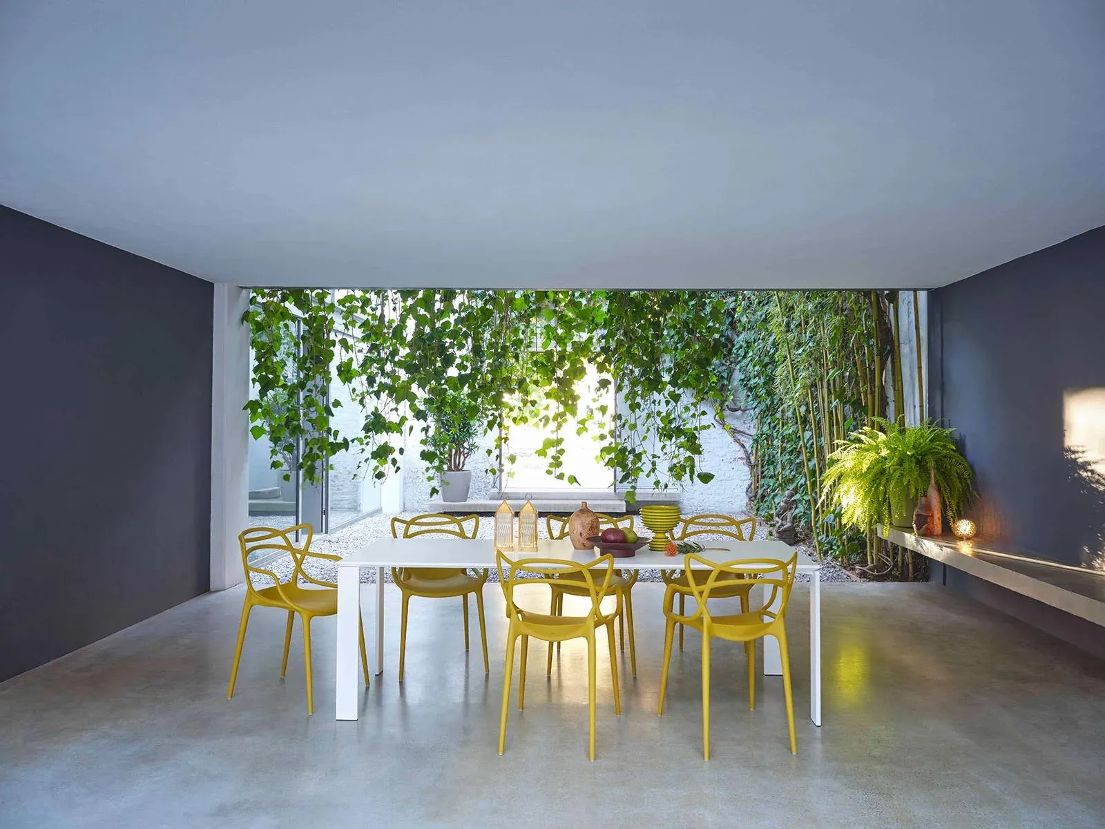 Masters by Philippe Starck #5