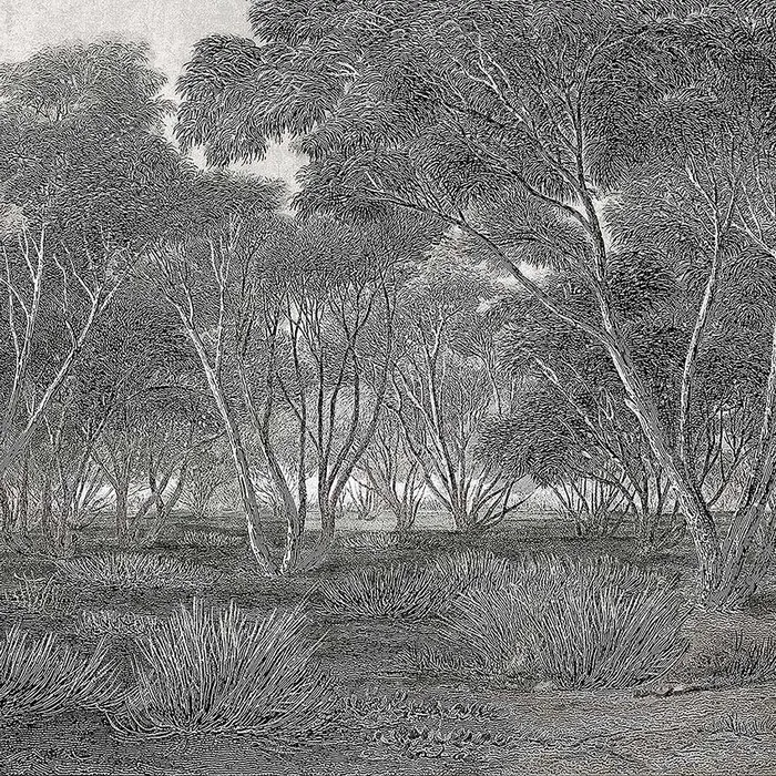 Обои для стен Faboie Whispering In The Jungle F-WJ6001