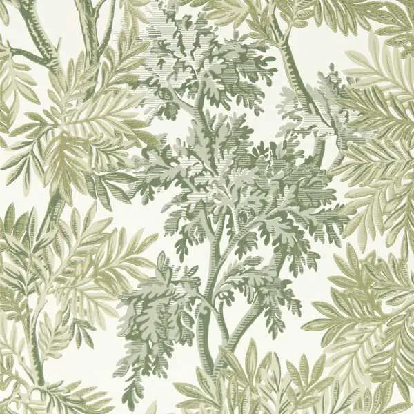 Обои для стен Sanderson Country Woodland Wallcoverings 217416