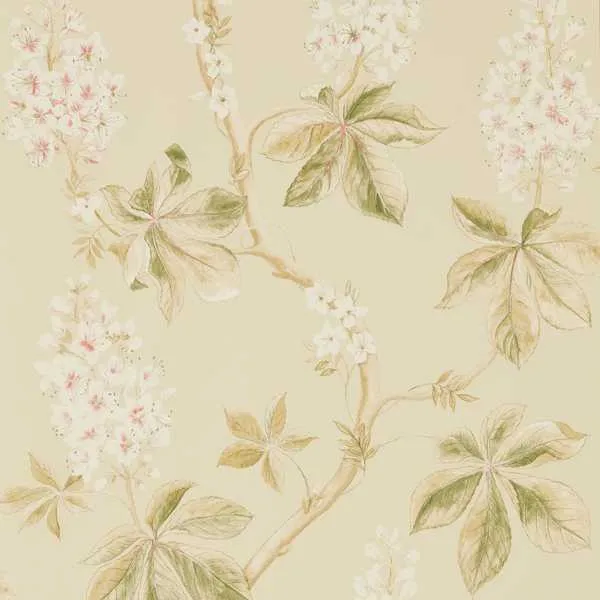 Обои для стен Sanderson Country Woodland Wallcoverings DFAB215709