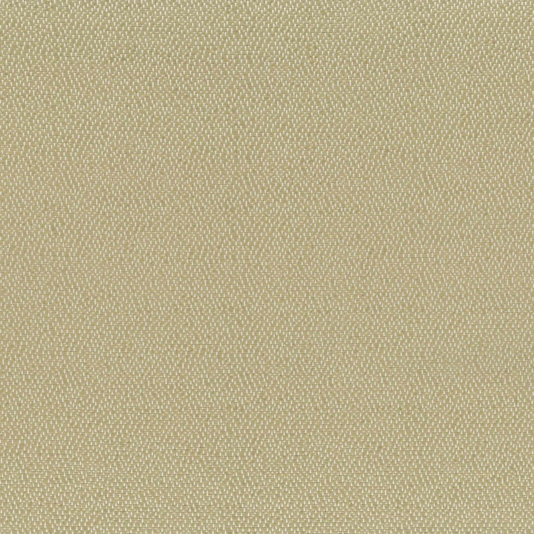 Ткань Rubelli Sharky 30703_5