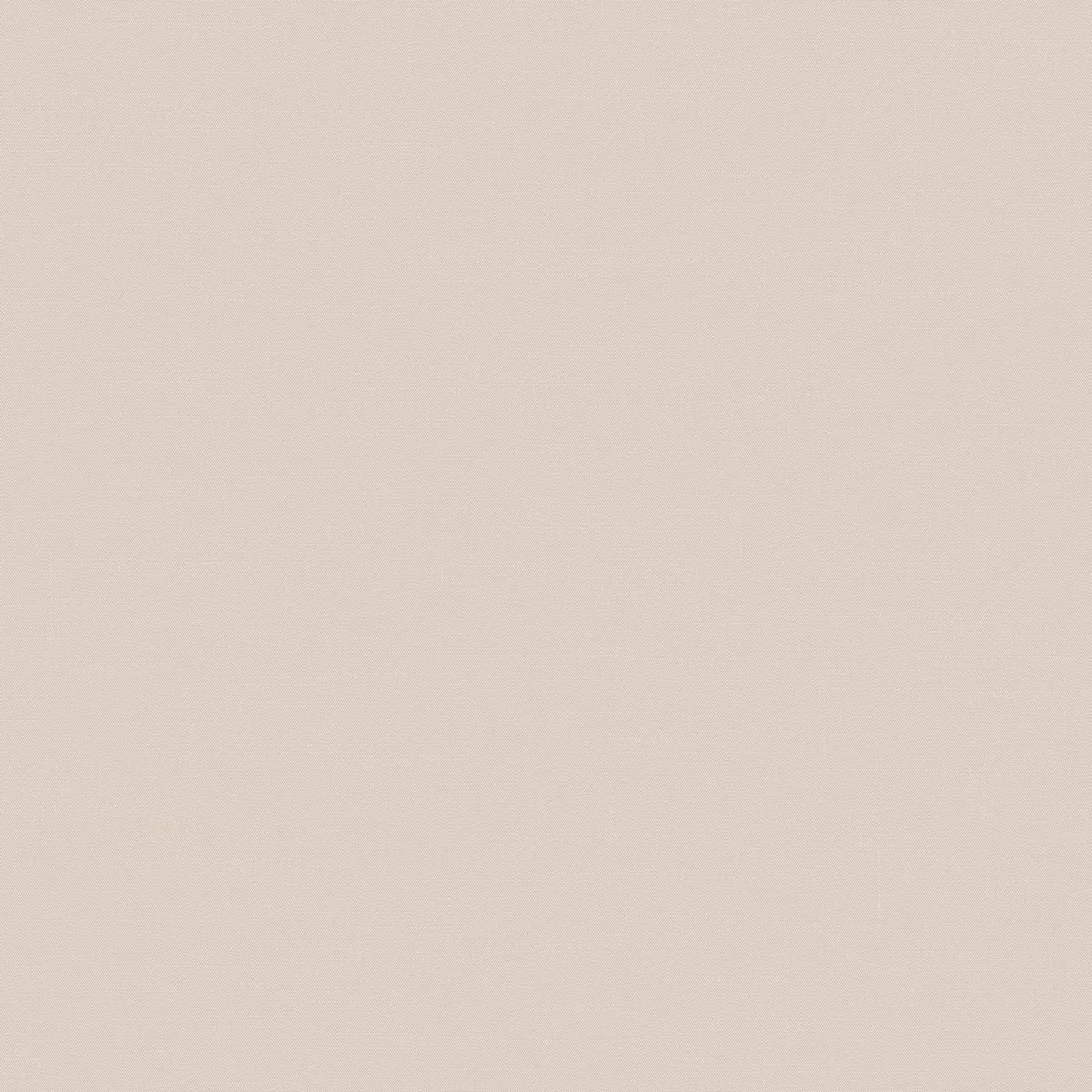 Обои для стен Loymina Шервуд BRIT31002_1