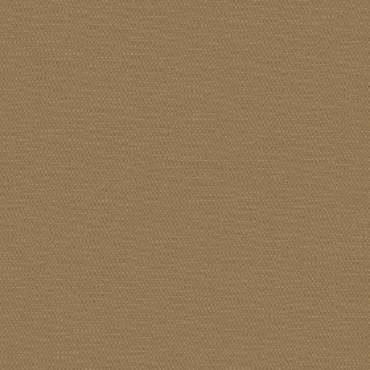 Обои для стен Loymina Шервуд BRIT31004