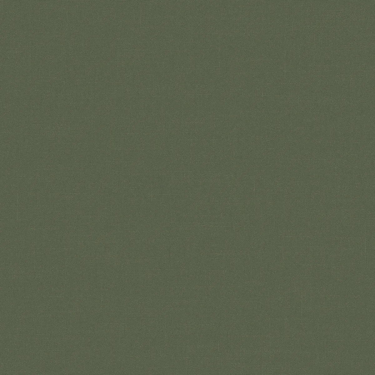 Обои для стен Loymina Шервуд BRIT31005_3