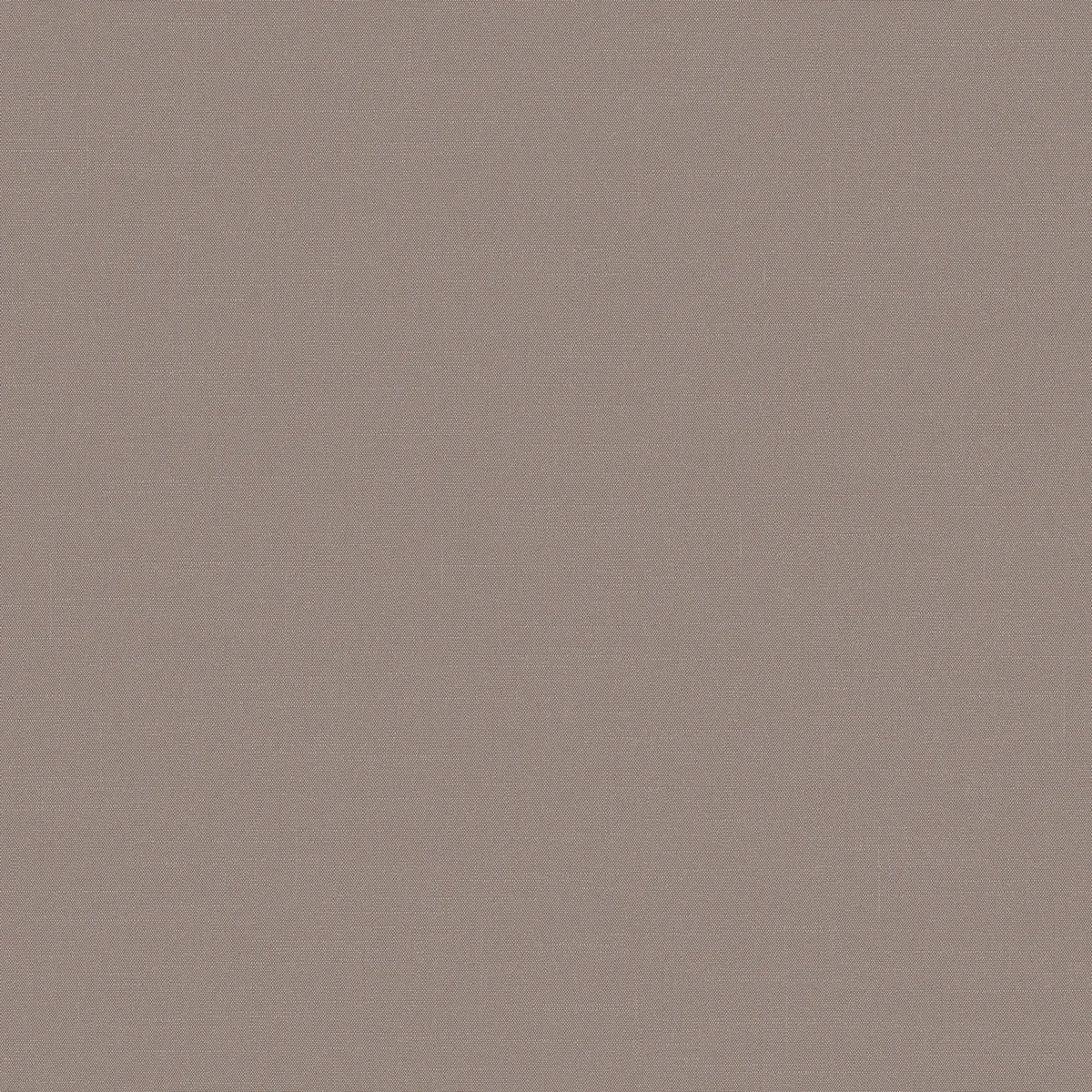 Обои для стен Loymina Шервуд BRIT31009