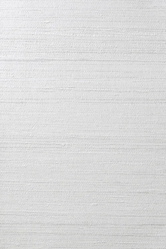 Обои для стен Arte Contract Silkx Raw 67490