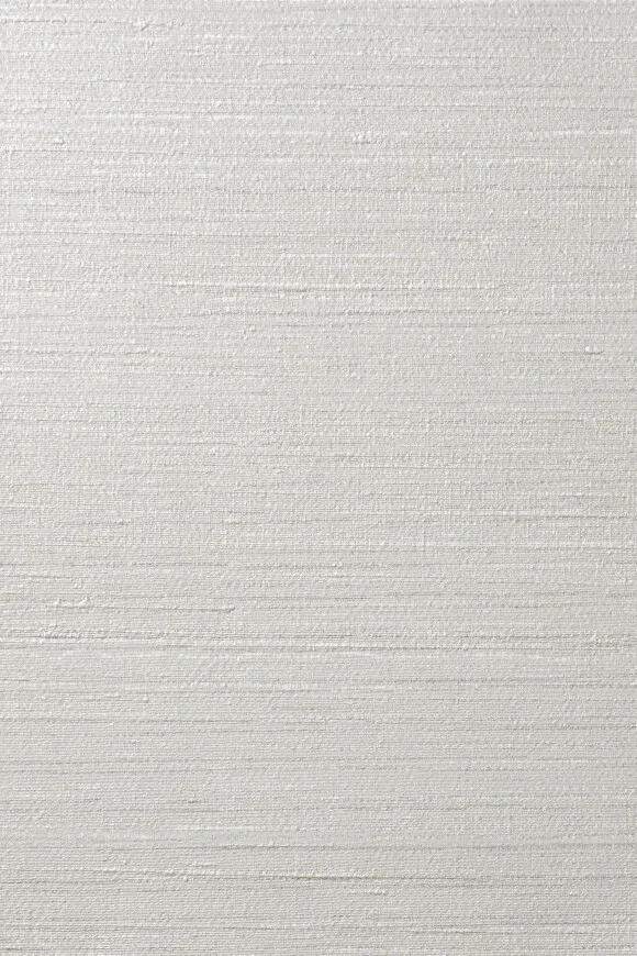 Обои для стен Arte Contract Silkx Raw 67492