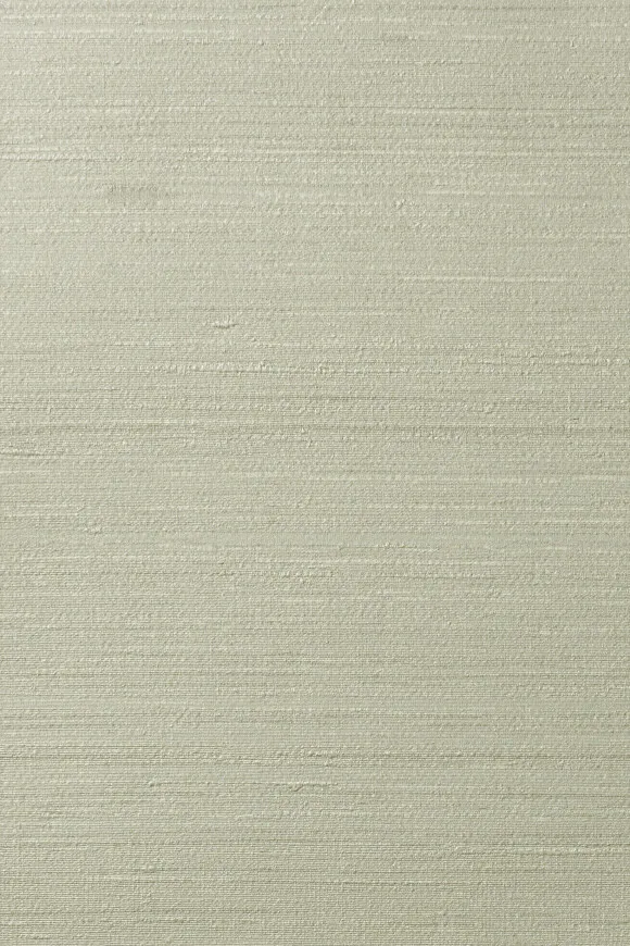 Обои для стен Arte Contract Silkx Raw 67493