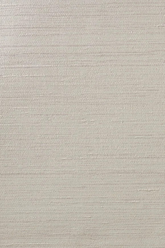 Обои для стен Arte Contract Silkx Raw 67499