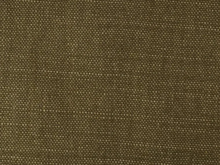 Ткань Pierre Frey Shabby F2484014