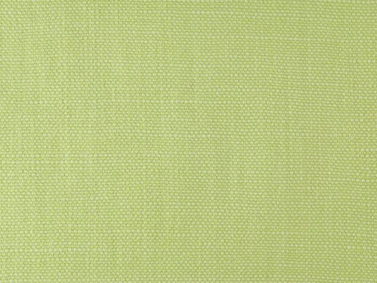 Ткань Pierre Frey Shabby F2484030