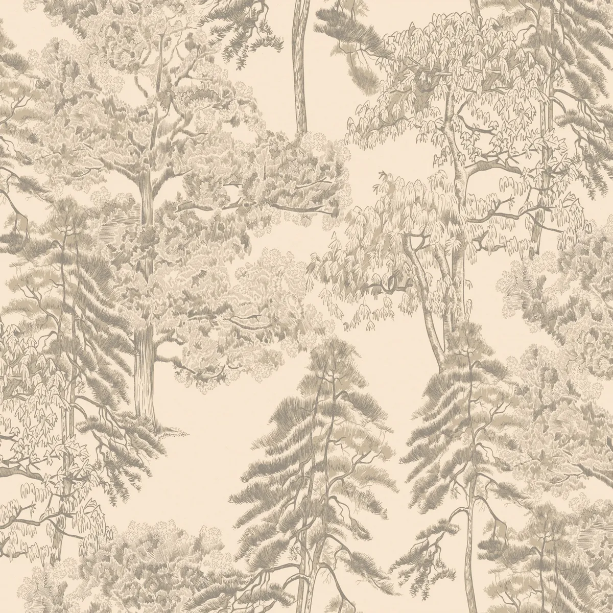 Обои для стен Milassa Ambient vol.4 Am5002_1