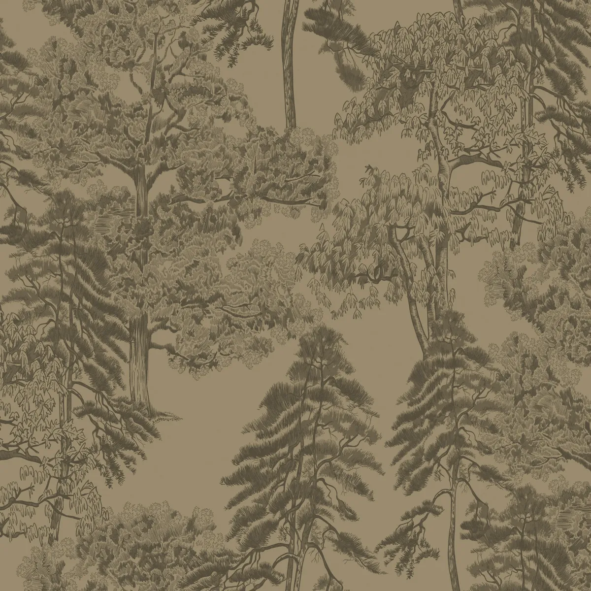 Обои для стен Milassa Ambient vol.4 Am5005_1