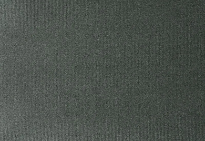 Ткань Dedar Adamo & Eva ADAMO_00169