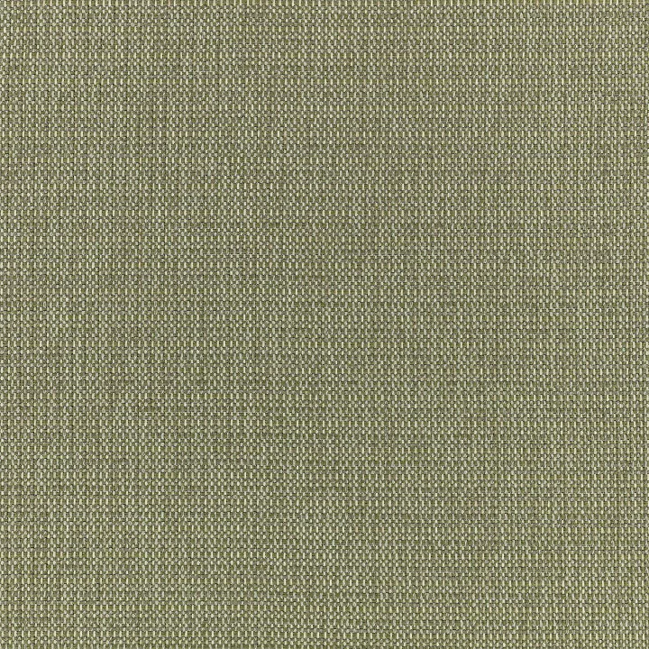 Ткань Kirkby design Clubhouse Outdoor K5379-08