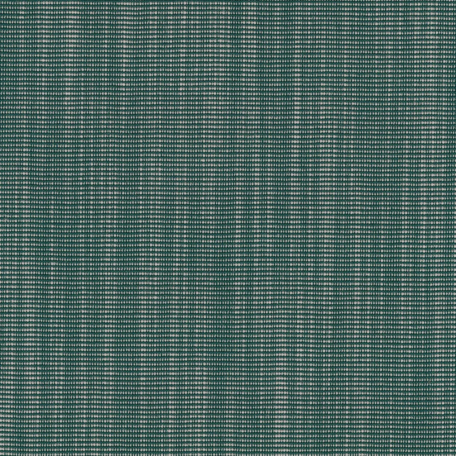 Ткань Kvadrat Raas by Doshi Levien 7913-0942