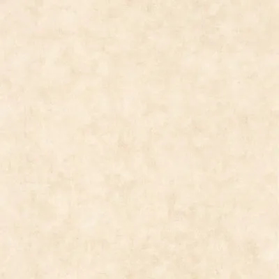 Обои для стен Caselio Beton 2 101481123