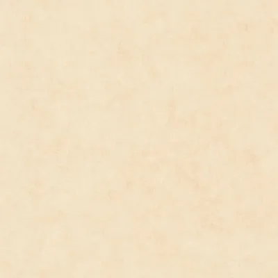 Обои для стен Caselio Beton 2 101481247