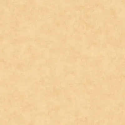 Обои для стен Caselio Beton 2 101481515