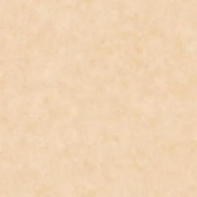 Обои для стен Caselio Beton 2 101481674